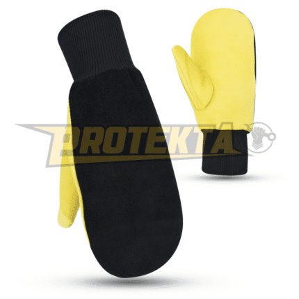 Winter Gloves